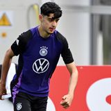 Aleksandar Pavlović