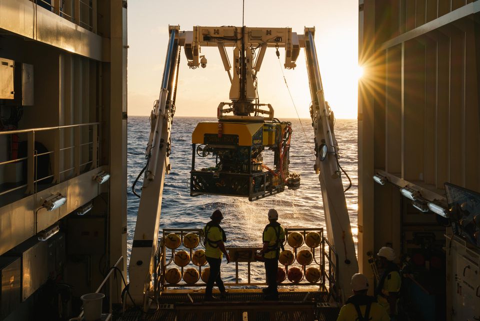 Il robot subacqueo ROV SuBastian può immergersi fino a 4.500 metri di profondità. Qui tornerà sulla nave da ricerca "Falkor" Portare