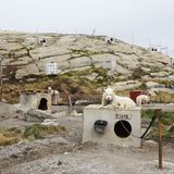 Ilulissat hat fast so viele Einwohner wie Schlittenhunde, die am Ortsrand ankettet vor sich hindösen und erst im Winter zum Einsatz kommen.