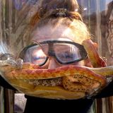 Dschungelcamp Georgina