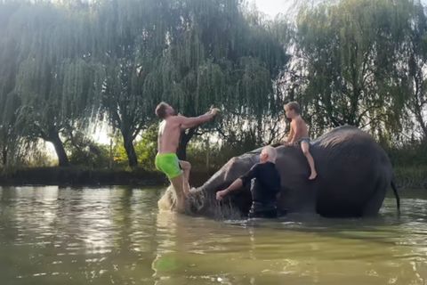 Sven Hannawald im Bad mit einem Elefanten