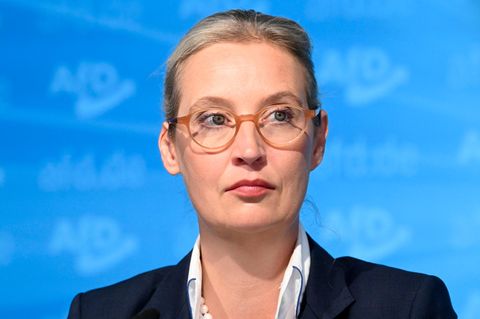 Sachsen und Thüringen: Wirtschaftsexperten alarmiert wegen AfD-Erfolg