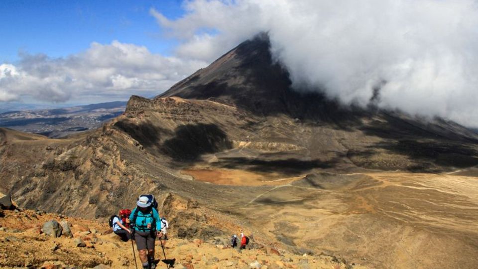 Neuseeland lockt Menschen aus aller Welt mit atemberaubenden Landschaften. (Archivbild) Foto: Michael Juhran/dpa-tmn