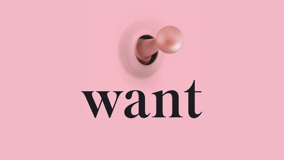 Book cover Gillian Anderson: “Want” (dtv)