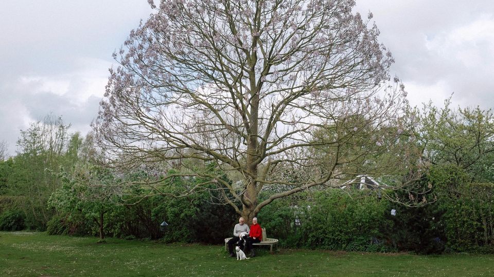 Pärchen sitzt unter einem großen Baum