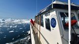 Im Zickzackkurs arbeitet sich das kleine Boot durch das sich ständig verändernde Eisfeld. Ununterbrochen knallen bei der einstündigen Fahrt Eisbrocken gegen den Rumpf