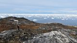 Die Region eignet sich sehr gut für Wanderungen. "Die Winter sind schneereicher, der Frühsommer kälter als die Jahre zuvor", sagt John Geisler aus Ilimanaq, der durch das weglose Gelände führt.