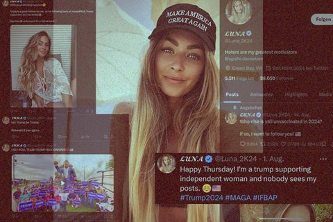 Collage zeigt Donald Trump unterstützenden Fakeaccount