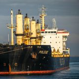 Der Frachter "Polesie"