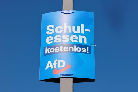 Erfolg bei den Landtagswahlen: Darum haben so viele junge Menschen in Sachsen und Thüringen die AfD gewählt
