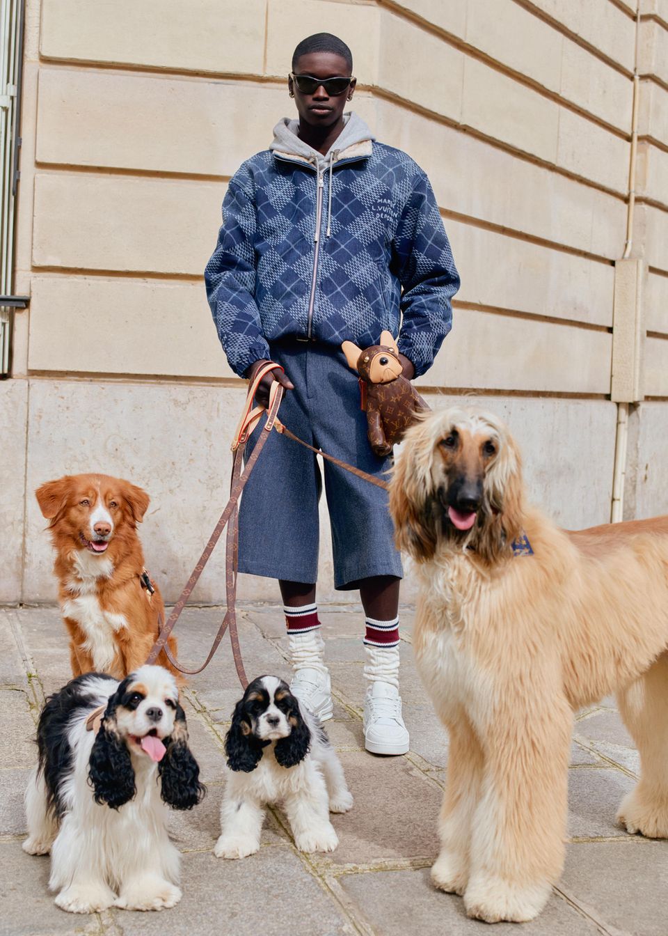 Louis Vuitton model with dogs