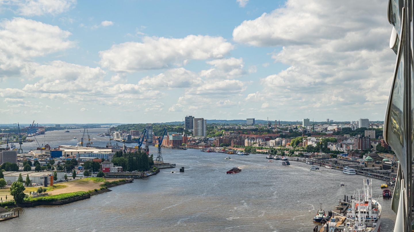 Wohnung Elbphilharmonie