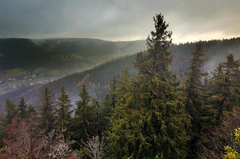 Im Thüringer Wald: Blick vom Hermannstein auf Manebach. Im Dorf stimmten 44,1 Prozent der Menschen für die AfD. Goethe war natürlich auch hier