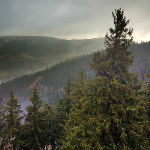 Im Thüringer Wald: Blick vom Hermannstein auf Manebach. Im Dorf stimmten 44,1 Prozent der Menschen für die AfD. Goethe war natürlich auch hier