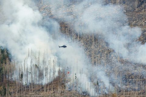 Löschhubschrauber am Brocken