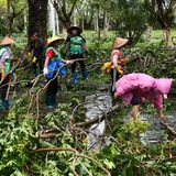 Nach dem Sturm räumen Arbeiter die Straßen frei