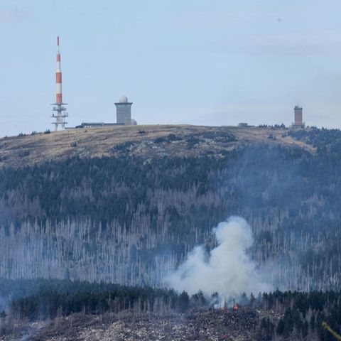 Löschflugzeug im Harz
