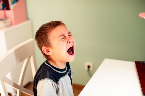 Kinderpsychologie: Wutanfall am Esstisch