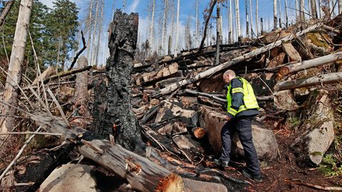 Waldbrand auf dem Brocken: Feuerwehr vermutet Brandstiftung (Video)