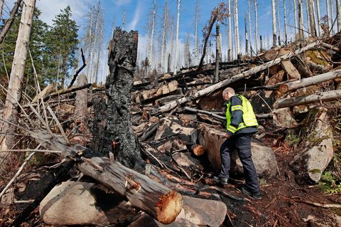 Waldbrand auf dem Brocken: Feuerwehr vermutet Brandstiftung (Video)