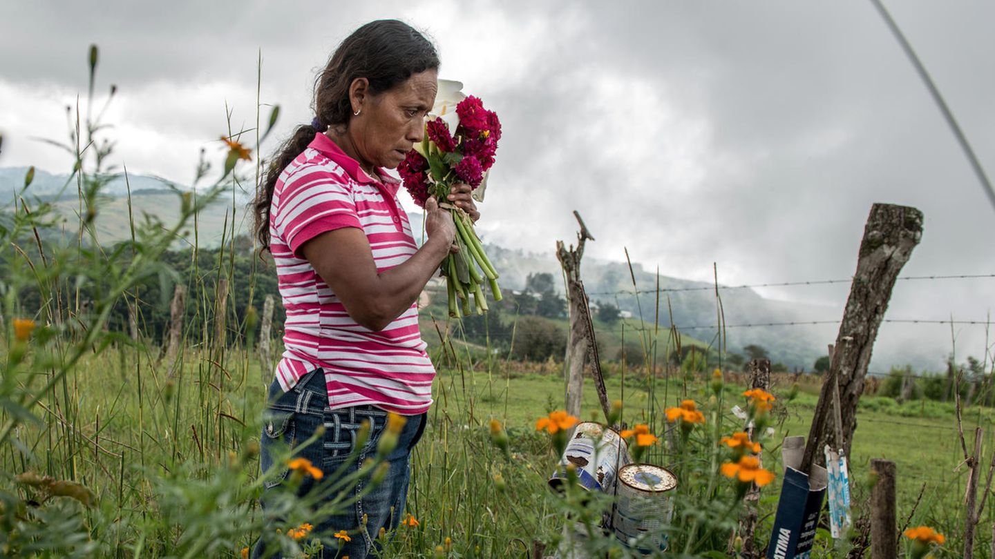 Die Witwe eines indigenen Umwelt-Schützers  bringt Blumen an den ort, wo ihr Mann tot gefunden wurde