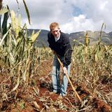 Prinz Harry in Afrika