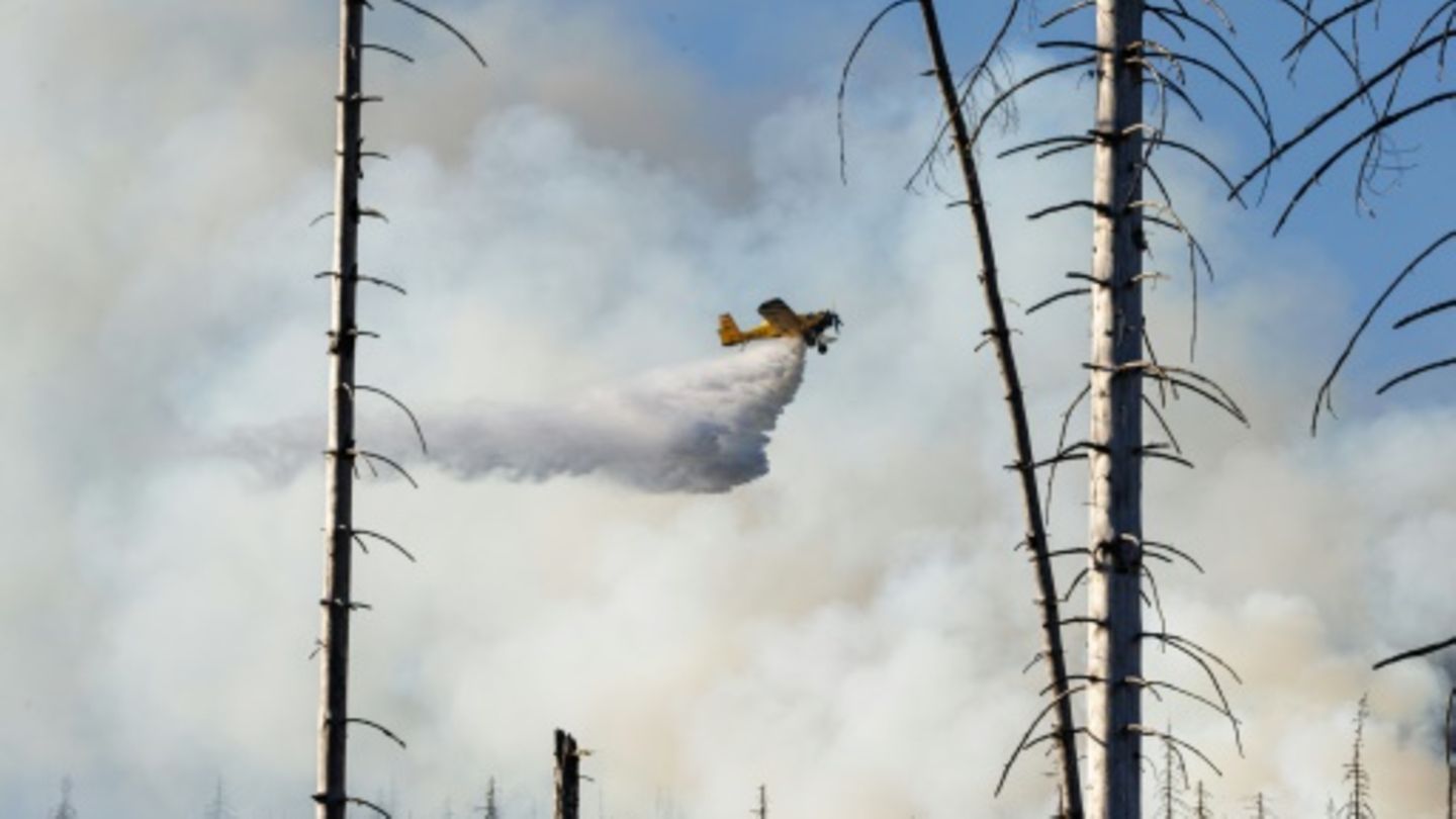 Löschflugzeug am Wochenende am Brocken