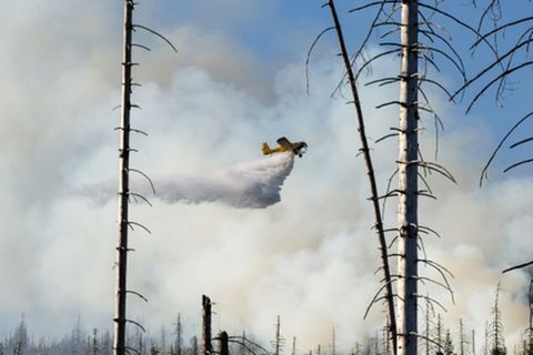 Löschflugzeug am Wochenende am Brocken