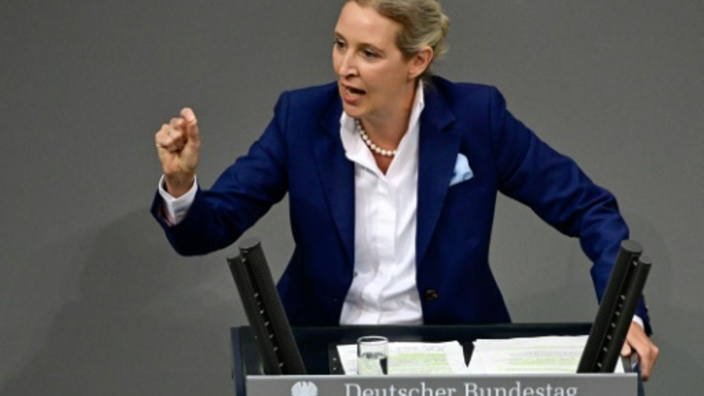 Alice Weidel