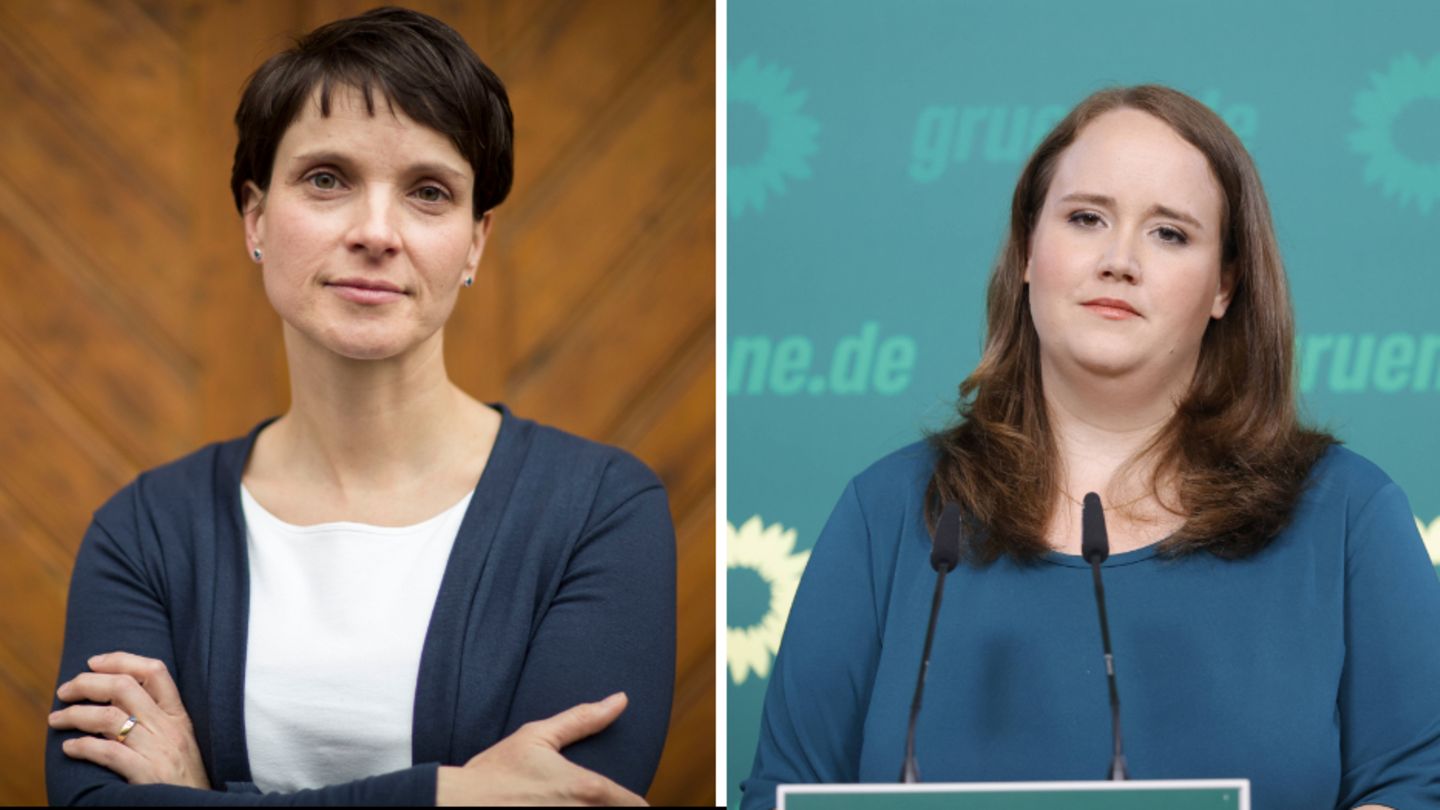Schlagabtausch auf X: Ricarda Lang reagiert auf Abtreibungsfrage von Frauke Petry