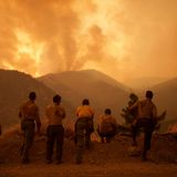Feuerwehrleute überwachen das fortschreitende Line Fire in Angelus Oaks