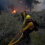 Feuerwehrleute ziehen Wasserschläuche, um einen Brandherd während des Bridge Fire in Wrightwood, Kalifornien, zu löschen. Mehr als 600 Feuerwehrleute seien am Boden mit Unterstützung aus der Luft im Einsatz, , wie die Feuerschutzbehörde Calfire mitteilte. In einigen Regionen ächzen die Menschen unter Temperaturen von weit über 40 Grad. Dienstag sollte aber der letzte extrem heiße Tag sein. Ab Donnerstag rechnen die Meteorologen mit Abkühlung