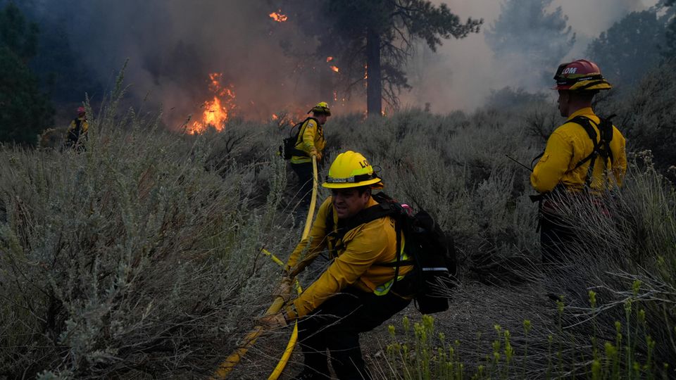 Feuerwehrleute ziehen Wasserschläuche, um einen Brandherd während des Bridge Fire in Wrightwood, Kalifornien, zu löschen. Mehr als 600 Feuerwehrleute seien am Boden mit Unterstützung aus der Luft im Einsatz, , wie die Feuerschutzbehörde Calfire mitteilte. In einigen Regionen ächzen die Menschen unter Temperaturen von weit über 40 Grad. Dienstag sollte aber der letzte extrem heiße Tag sein. Ab Donnerstag rechnen die Meteorologen mit Abkühlung