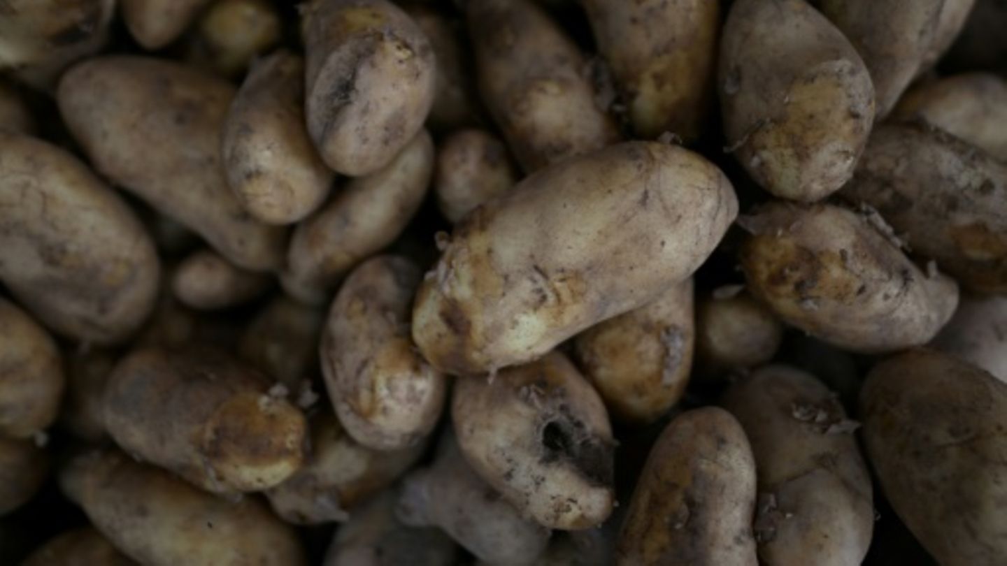 Kartoffeln