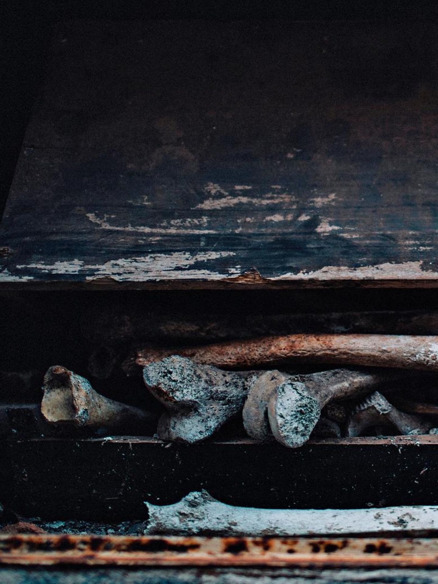 Knochen in einem offenen Grab auf dem Friedhof La Recoleta