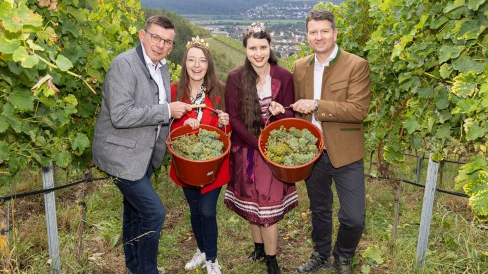 Staatssekretär Sandro Kirchner (CSU, r) vertrat bei der Eröffnung der Weinlese die krankheitsbedingt fehlende Landwirtschaftsmin