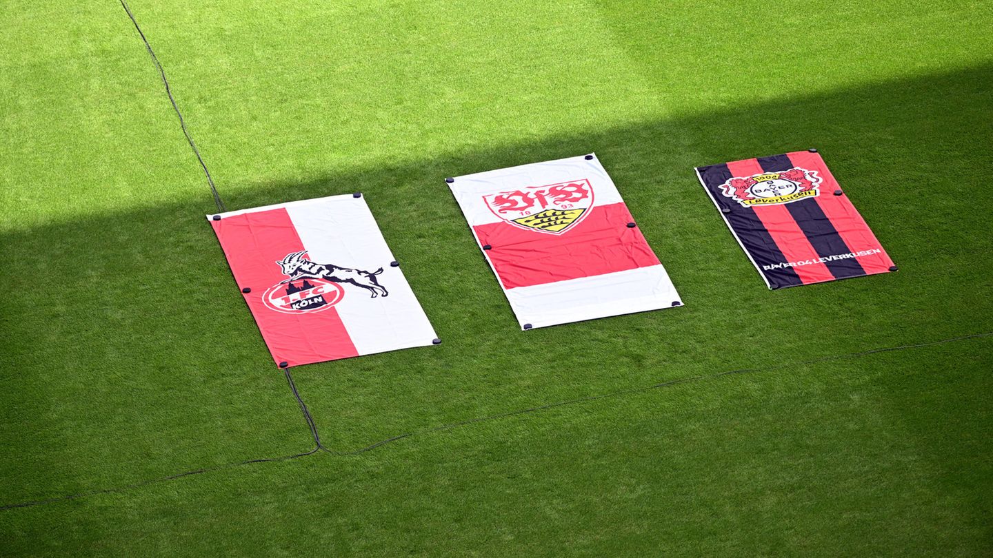 Die drei Vereine Daums in Deutschland: der 1. FC Köln, der VfB Stuttgart, mit dem er 1992 den deutschen Meistertitel gewann, und Bayer Leverkusen. Eine kurze Episode bei Eintracht Frankfurt dauerte nur sieben Spiele lang