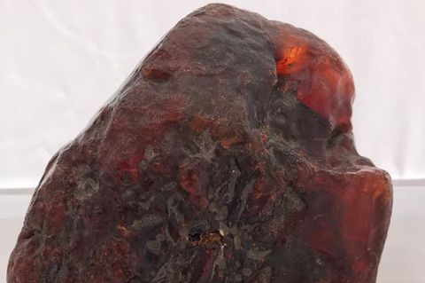 Der Bernstein ist etwa 3,5 Kilogramm schwer