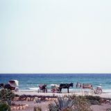 Es war ruhig auf Mallorca, bevor die Touristen kamen. Die Insel war Anfang der 1960er-Jahre das Gegenteil ihres heutigen Ballermann-Klischees. Pauschalurlaube waren kaum vorstellbar. Die Wenigen, die kamen, waren vor allem Kulturinteressierte, besichtigten die Kathedrale von Palma und hofften, ein wenig der bewegten mallorquinischen Kultur zu erleben. Rückgrat der Wirtschaft war damals noch die Landwirtschaft, sie setzte knapp dreimal so viel um wie der Tourismus