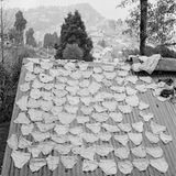 Unterhosen auf einem Brett an einer Schule