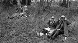 Zwei Paare sitzen mit Ferngläsern auf einer Wiese und beobachten Vögel