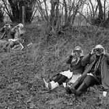 Zwei Paare sitzen mit Ferngläsern auf einer Wiese und beobachten Vögel