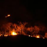 Brände im Amazonas sind nicht ungewöhnlich, aber problematisch