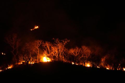 Brände im Amazonas sind nicht ungewöhnlich, aber problematisch