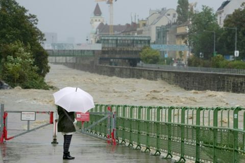 Das Hochwassser hat auch Wien erreicht