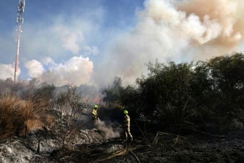 Feuerwehrleute unweit von Tel Aviv am Sonntag