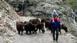 Reinhold Messner mit Tochter und Yak-Herde