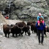 Reinhold Messner mit Tochter und Yak-Herde