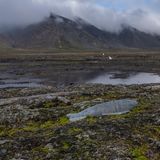 Nachhaltigkeit: Eine angespülte Bombe liegt am Strand