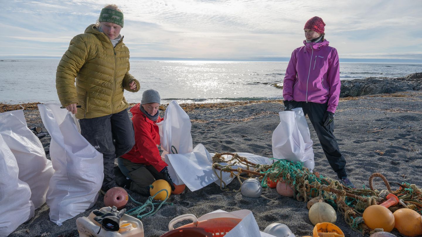 Nachhaltigkeit: Drei Helferinnen sortieren am Strand auf Spitzbergen Müll